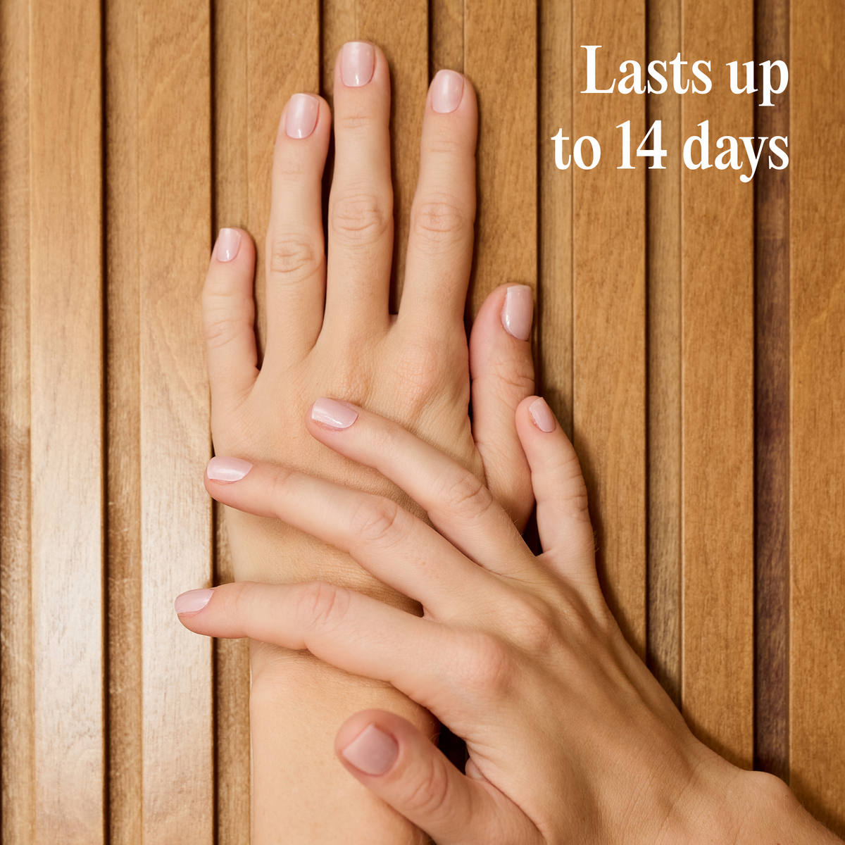 Vernis Gel Autocollants Mylee - On Campus