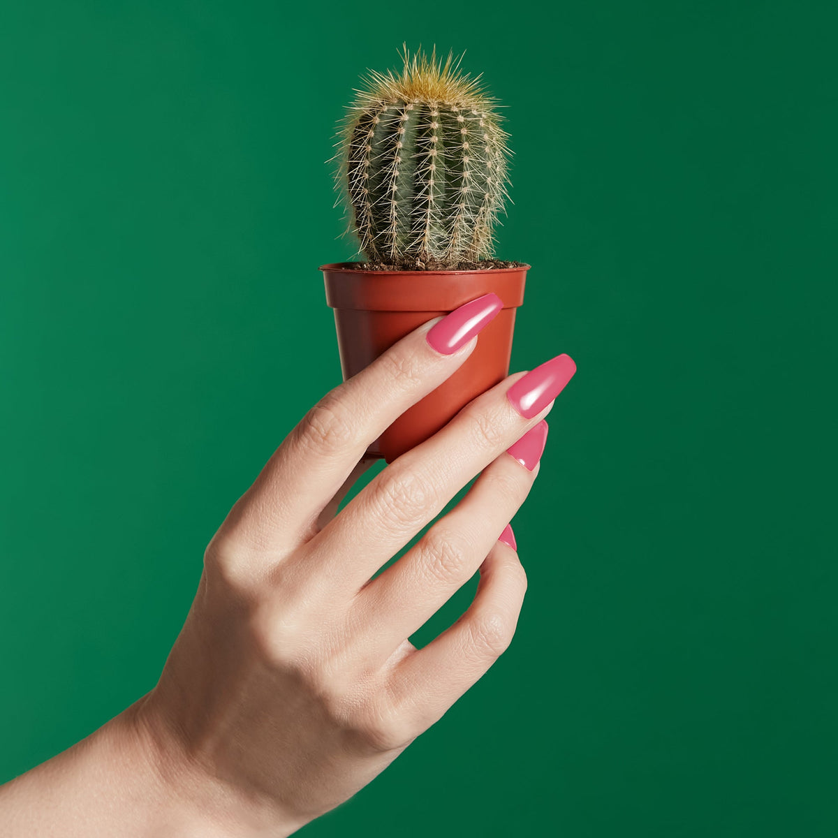 Vernis semi-permanent Mylee - Beyond Perfect