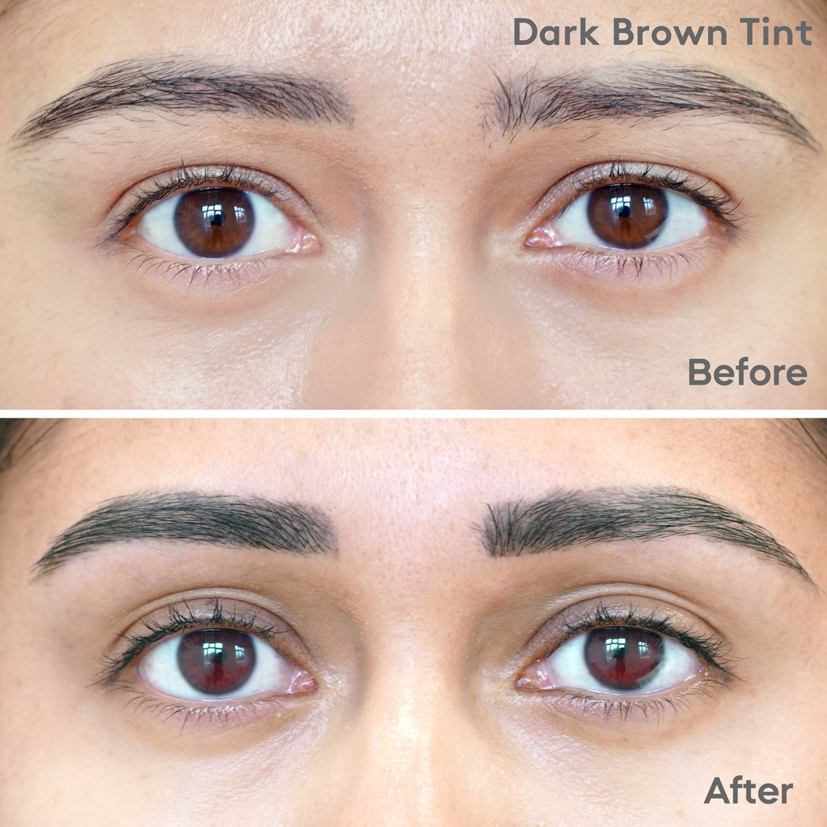 Mylee Express 2 in 1 Lash and Brow Tint - Dark Brown