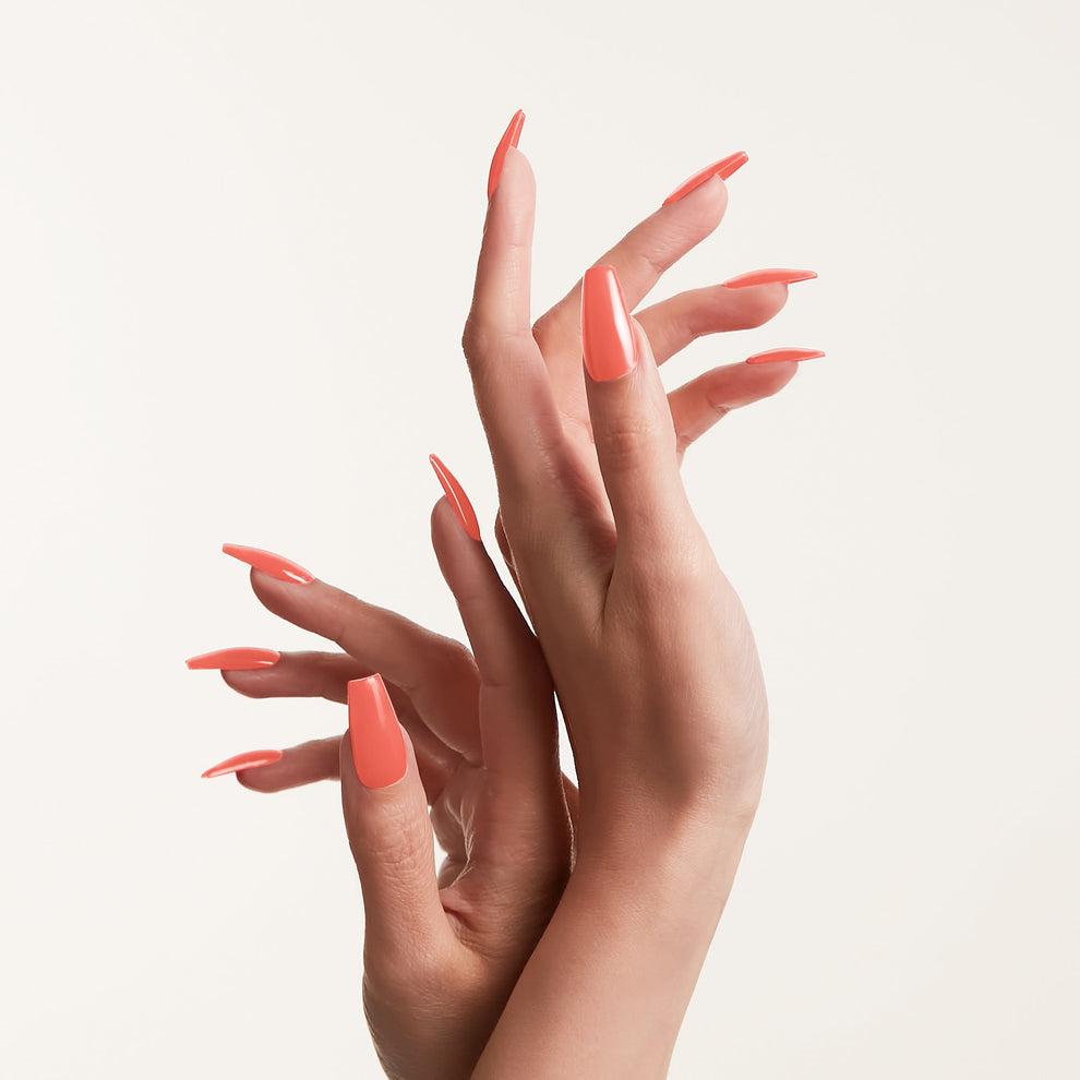 Mylee High Rise Gel Polish