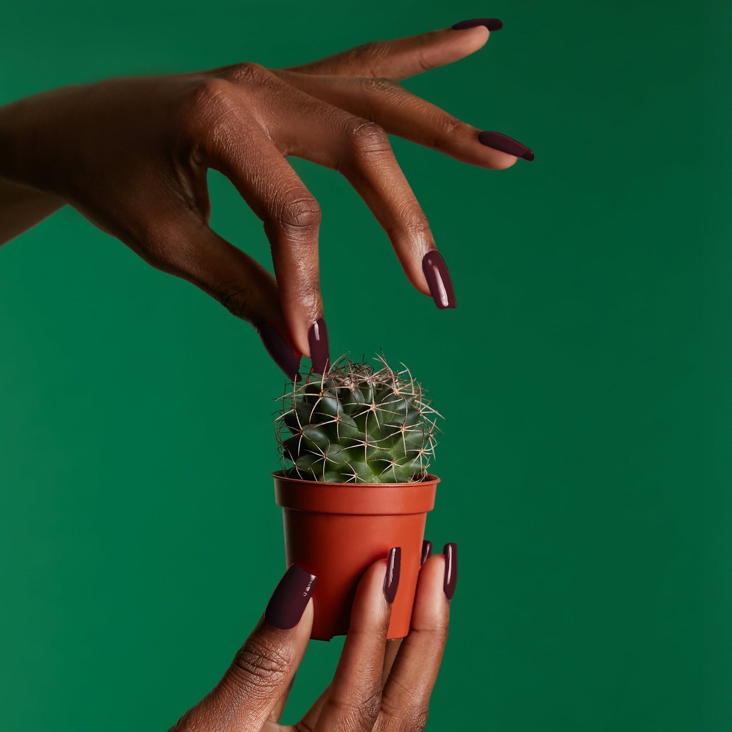 Mylee Diva Gel Polish