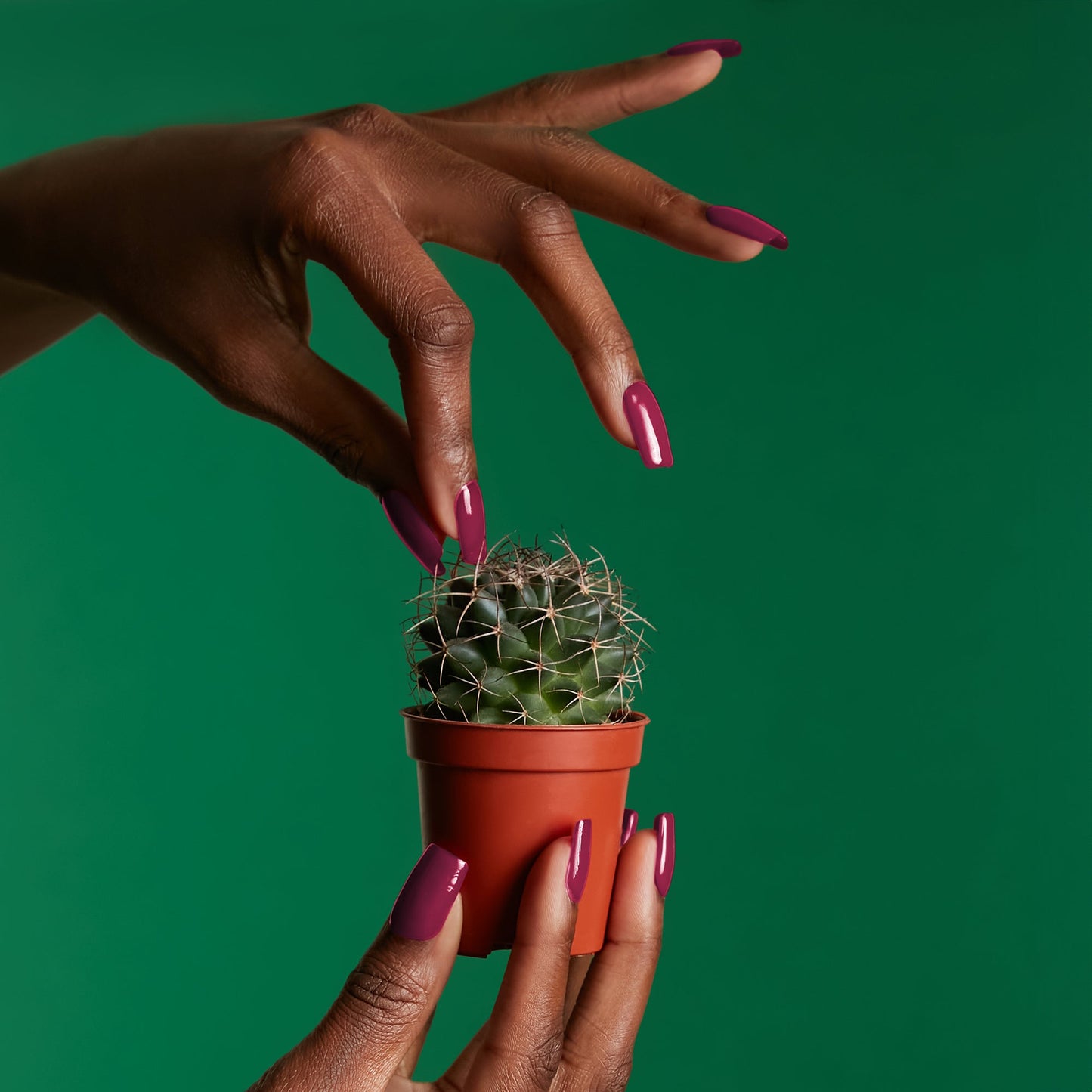 Mylee Raspberry Gel Polish